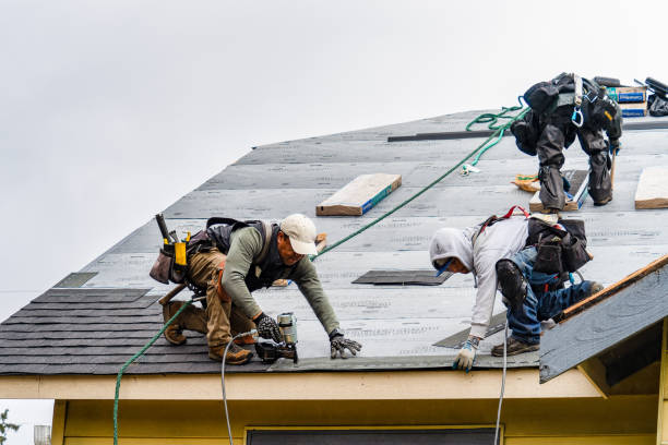 Professional Gutter Installation technician working in Thompson, ND